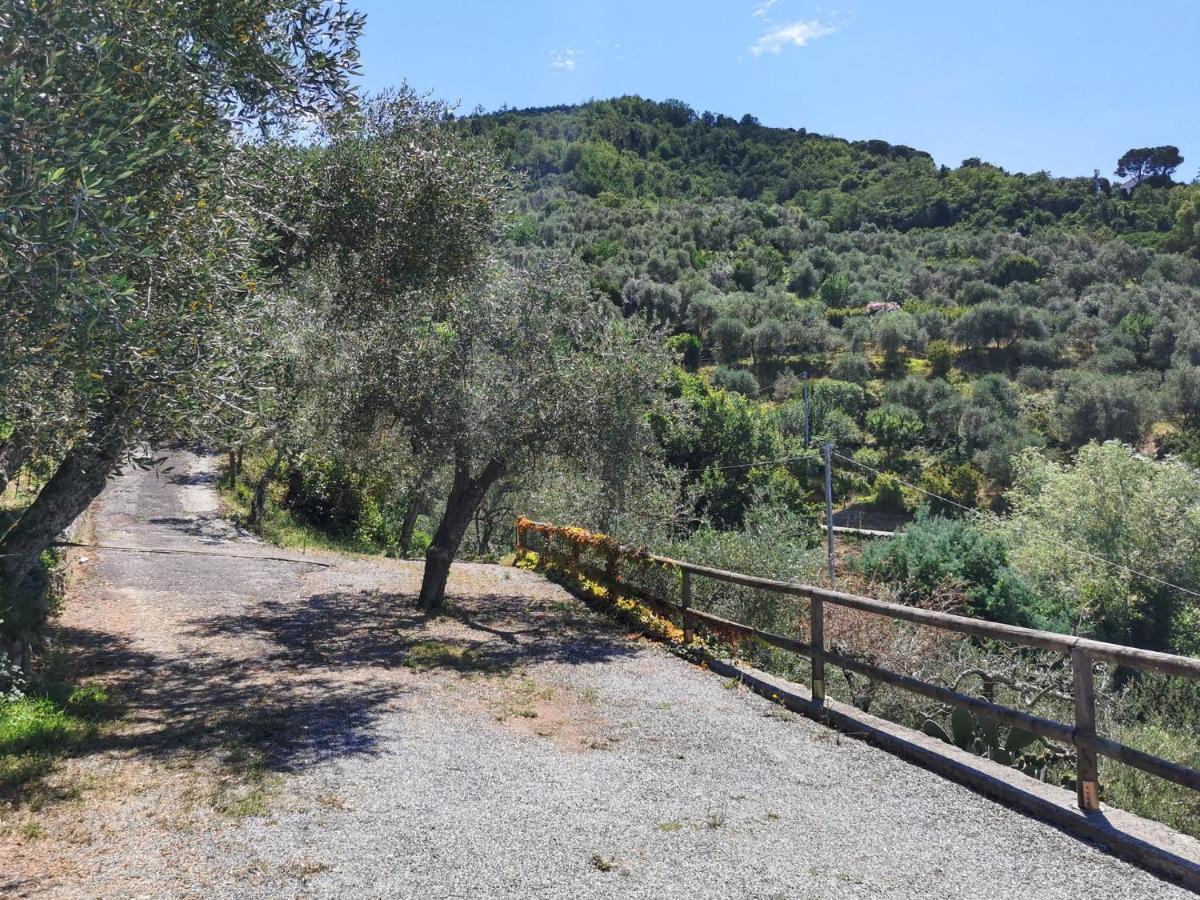Il Frantoio Del Mesco - Levanto Exterior foto